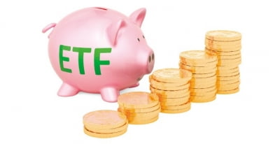 매월 용돈 받아볼까…월배당 ETF 투자 전략