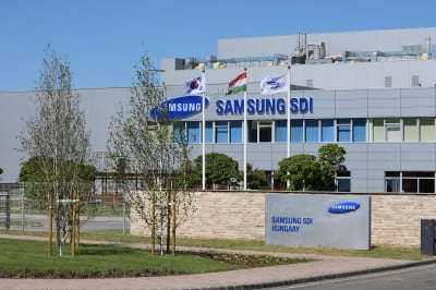 "삼성SDI, '46 시리즈' 개발이 올해 주가 좌우…목표가 ↑"-신한