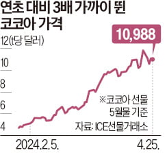 퀀트 헤지펀드, 코코아값 상승으로 '달콤한 수익'