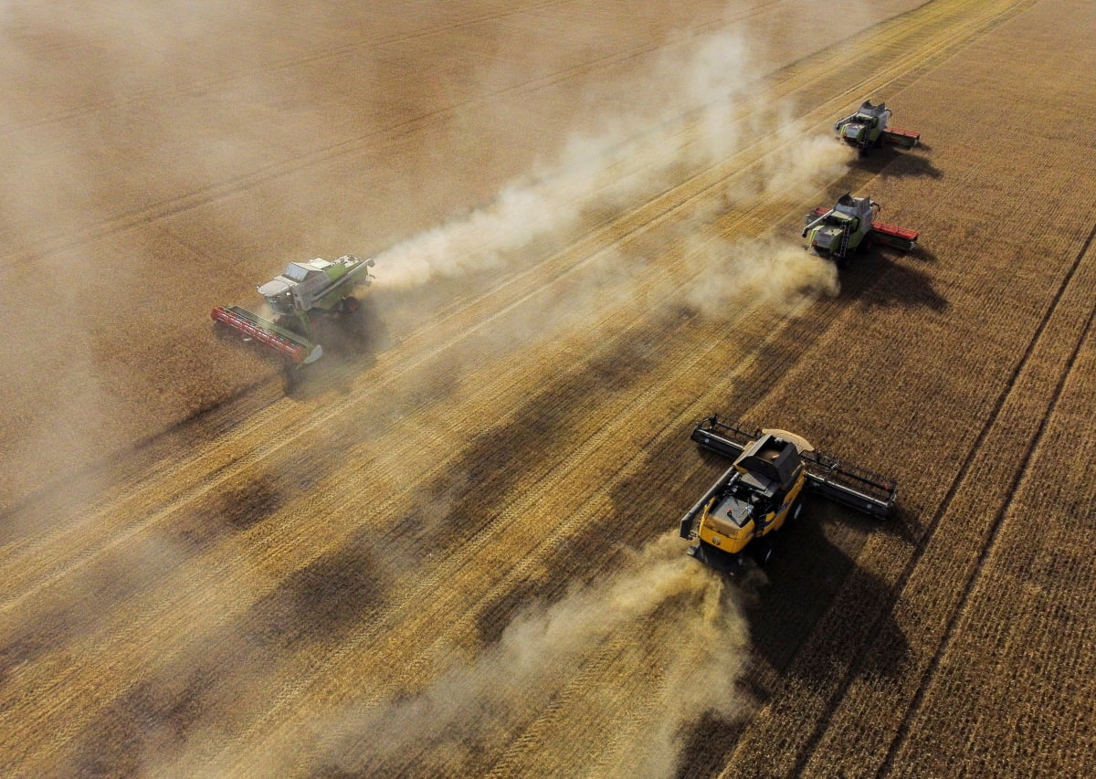 지난해 9월 러시아 밀 수확 현장(사진=로이터연합뉴스)