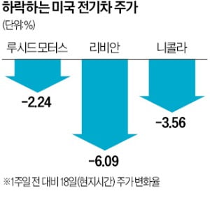 '제2 테슬라' 피스커 파산…전기차株 일제히 '와르르'