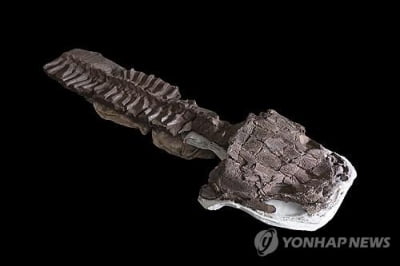 도롱뇽이 지구 지배했나…공룡시대 전 '거대 포식자' 화석 발견