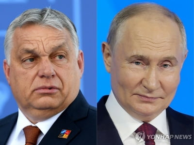 'EU 의장국' 헝가리 총리 러시아 방문…푸틴과 회담