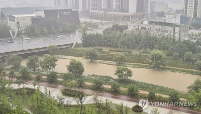 소방청, 기습폭우 대응태세 강화…"비 예보 시 캠핑 자제"